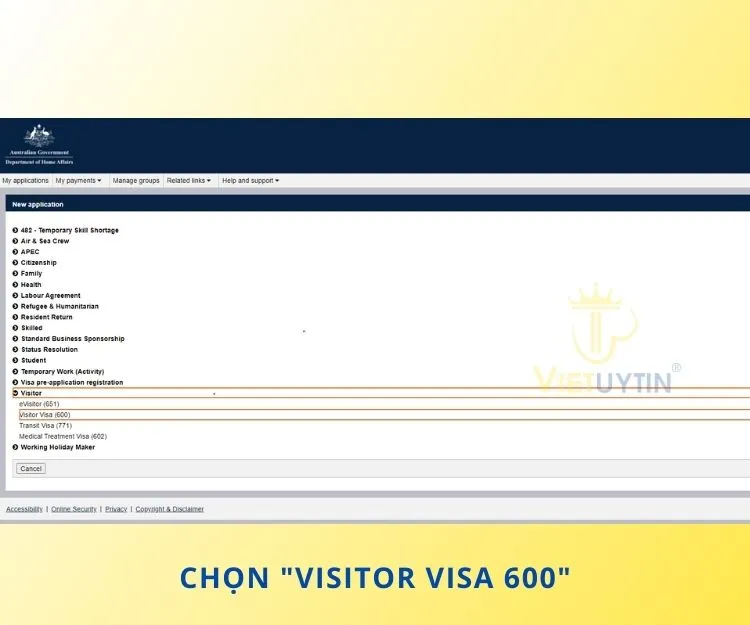 Chọn “Visitor Visa 600” như trên